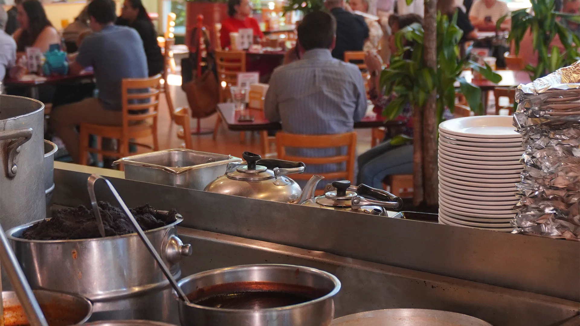 Festejo en el charco 2 el charco de las ranas