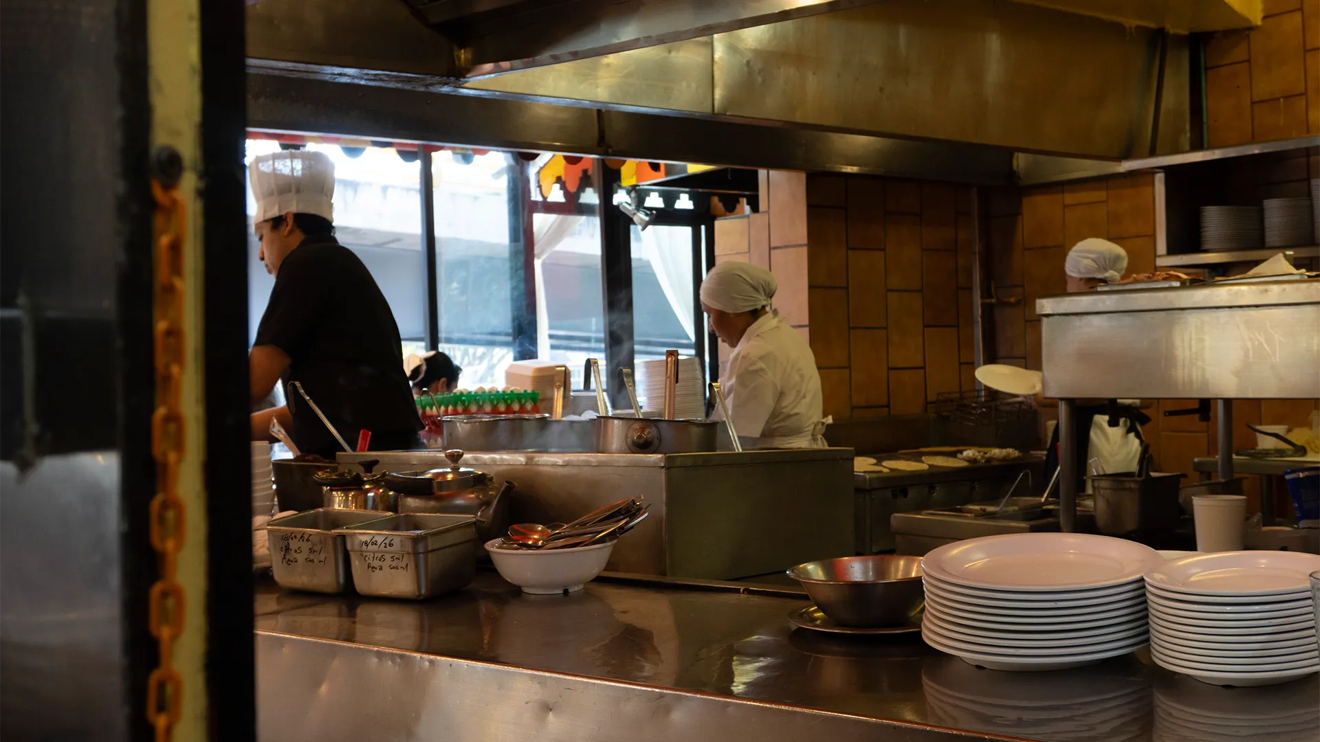 Festejo en el charco 5 el charco de las ranas